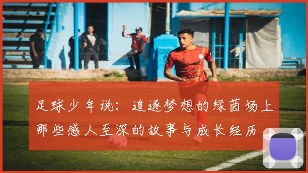 足球少年说：追逐梦想的绿茵场上那些感人至深的故事与成长经历