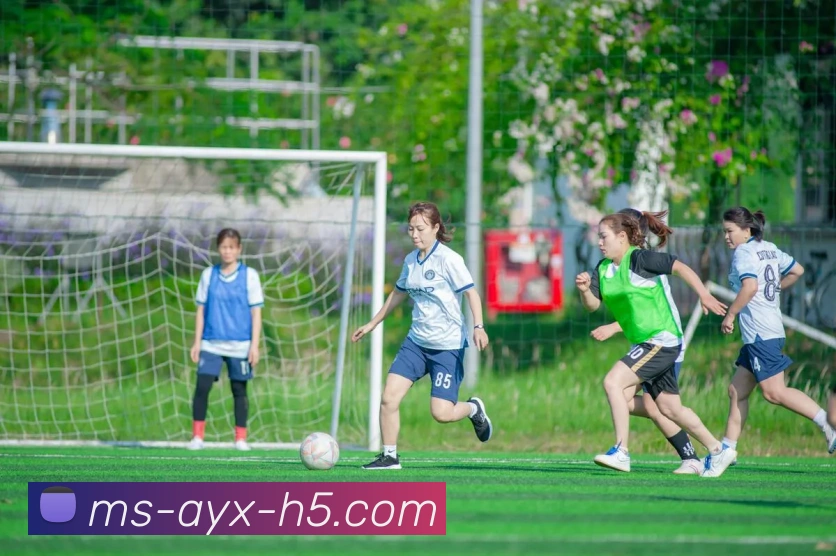 多媒体互动体验